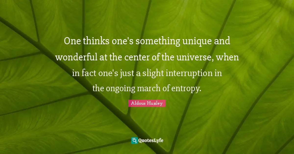 One thinks one's something unique and wonderful at the center of the universe, when in fact one's just a slight interruption in the ongoing march of entropy.