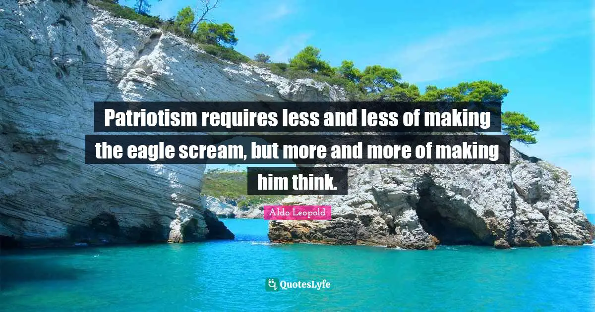 Patriotism requires less and less of making the eagle scream, but more and more of making him think.