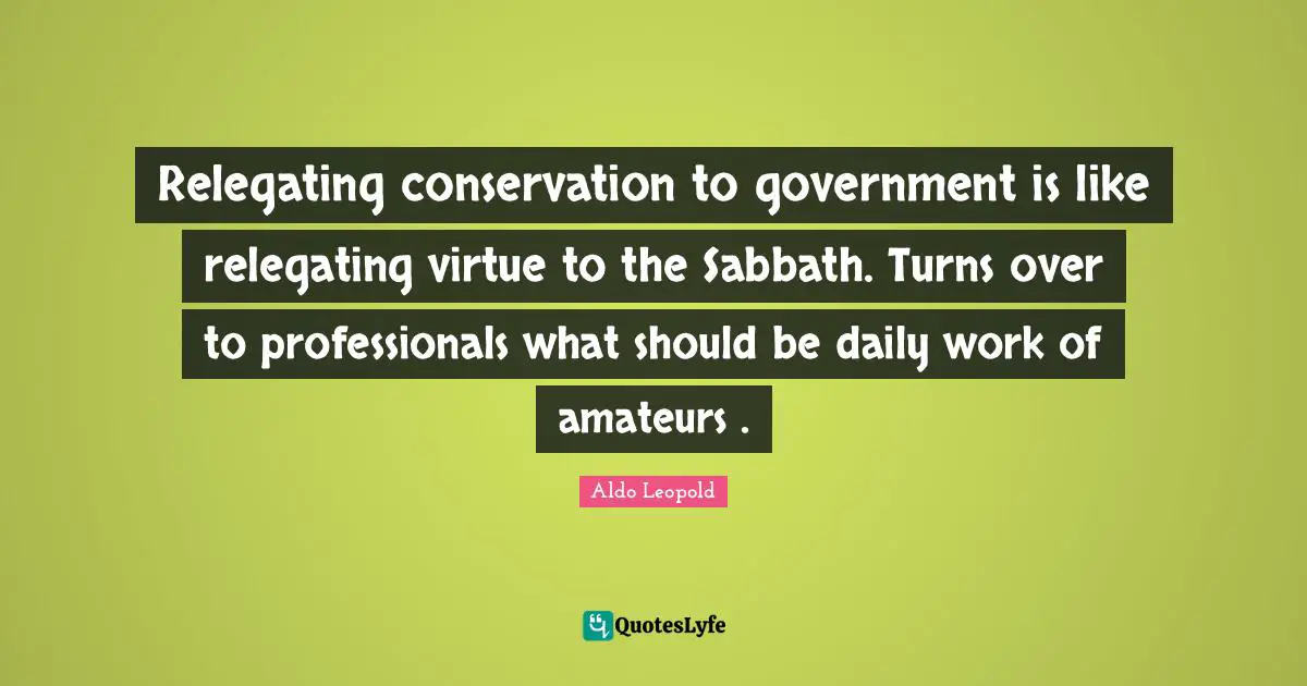 Relegating conservation to government is like relegating virtue to the Sabbath. Turns over to professionals what should be daily work of amateurs .