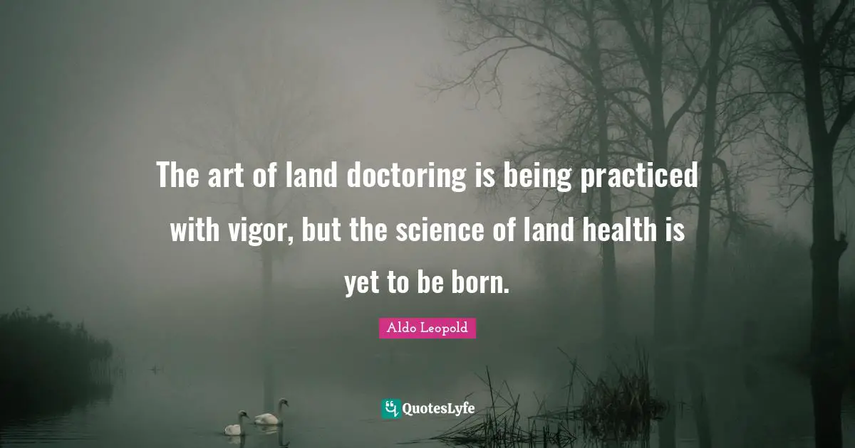 The art of land doctoring is being practiced with vigor, but the science of land health is yet to be born.
