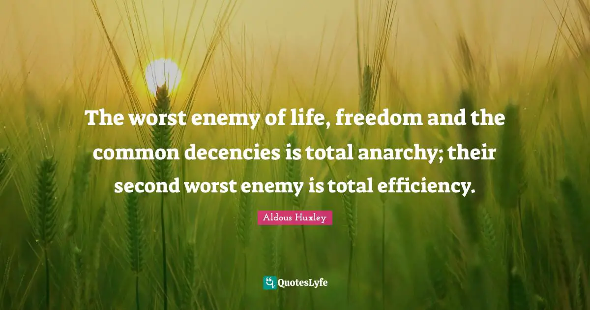 The worst enemy of life, freedom and the common decencies is total anarchy; their second worst enemy is total efficiency.