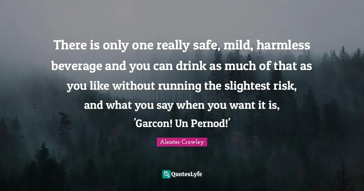 There is only one really safe, mild, harmless beverage and you can drink as much of that as you like without running the slightest risk, and what you say when you want it is, 'Garcon! Un Pernod!'