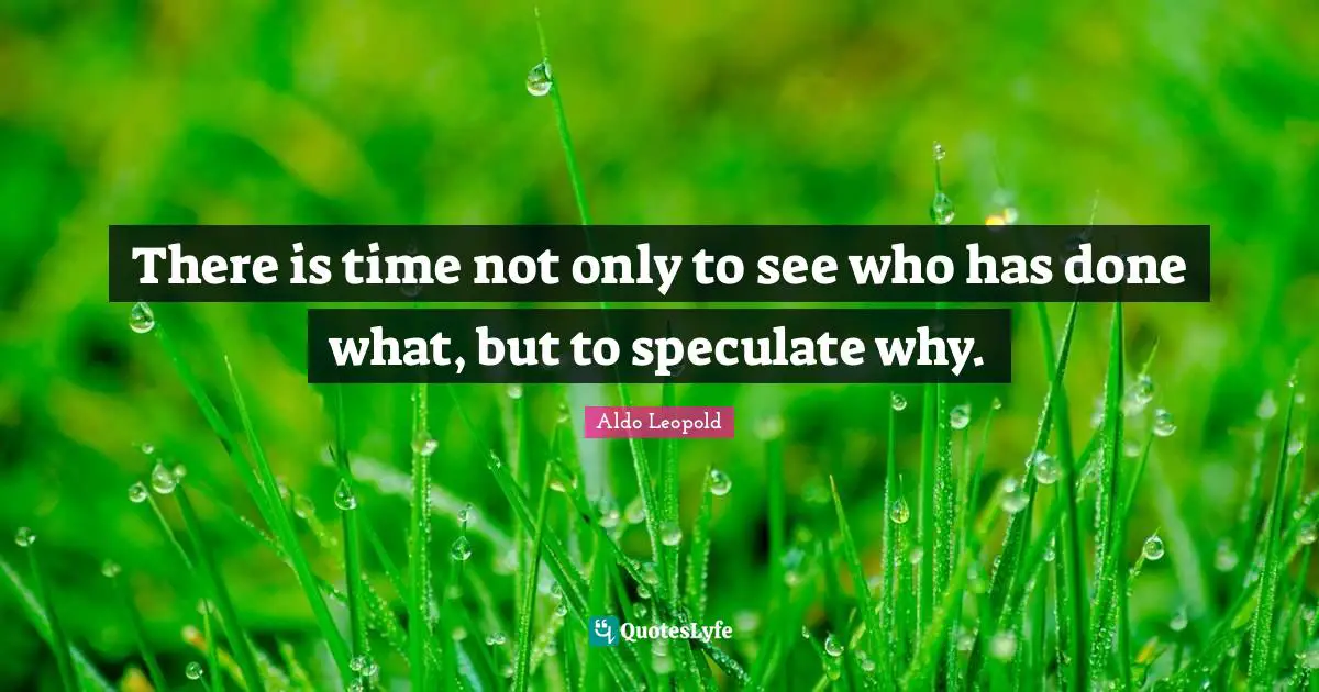 There is time not only to see who has done what, but to speculate why.