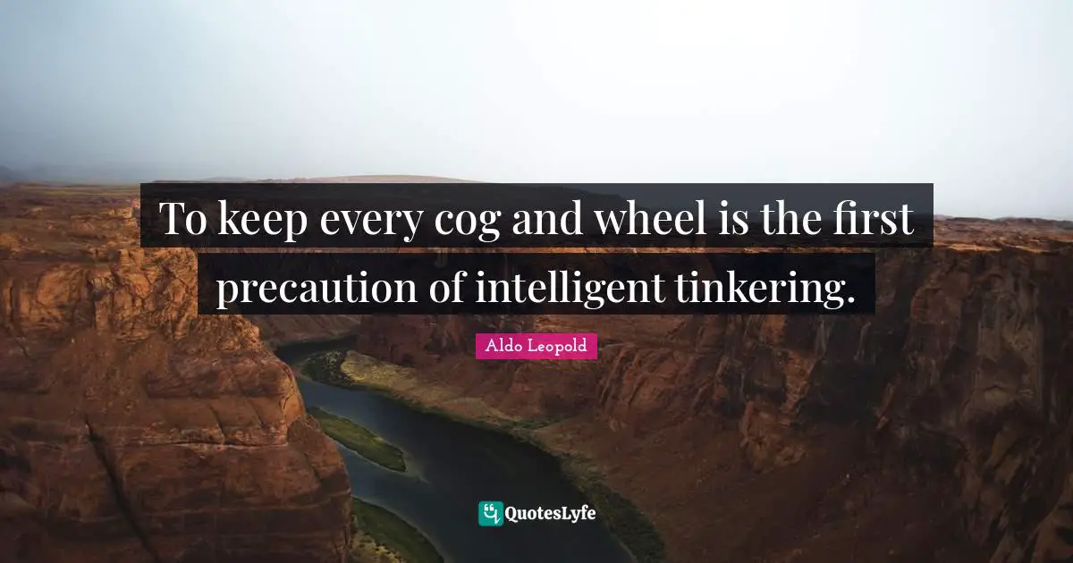 To keep every cog and wheel is the first precaution of intelligent tinkering.