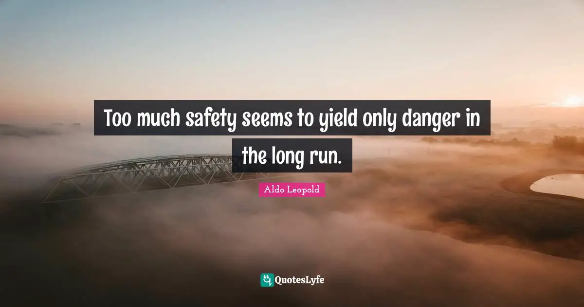 Too much safety seems to yield only danger in the long run.