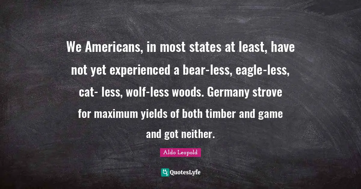 We Americans, in most states at least, have not yet experienced a bear-less, eagle-less, cat- less, wolf-less woods. Germany strove for maximum yields of both timber and game and got neither.