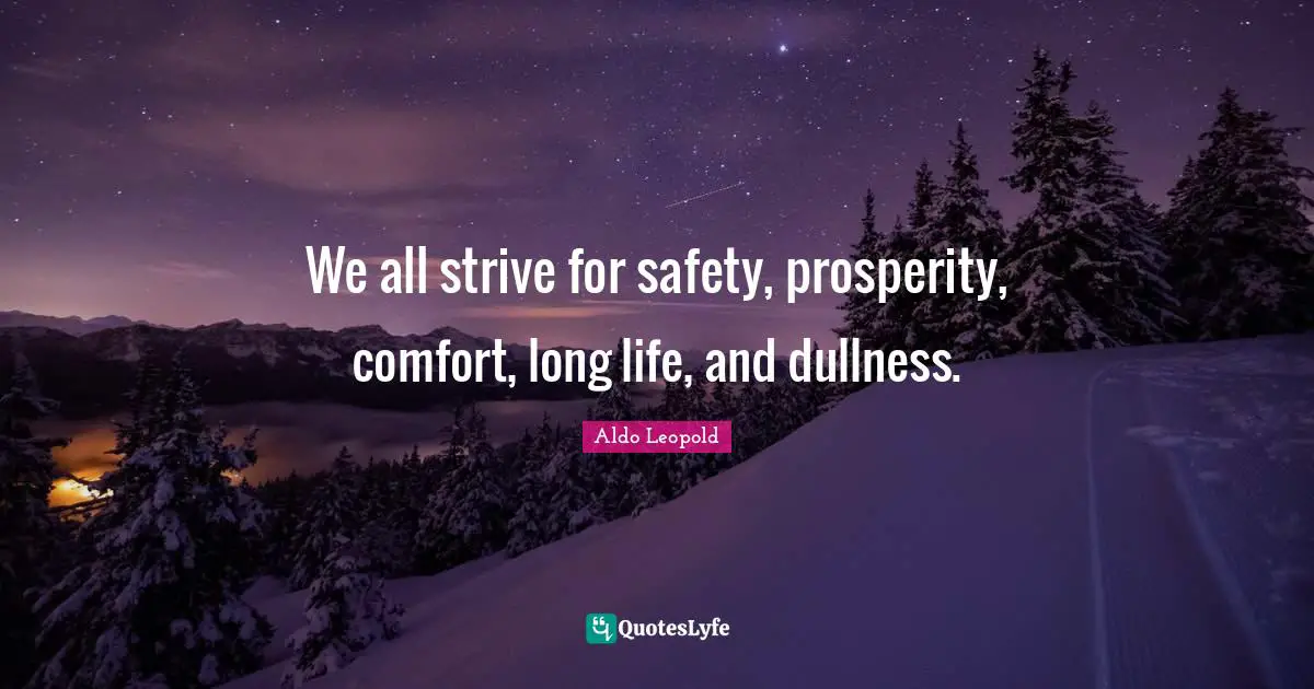 Dullness Quotes: "We all strive for safety, prosperity, comfort, long life, and dullness."