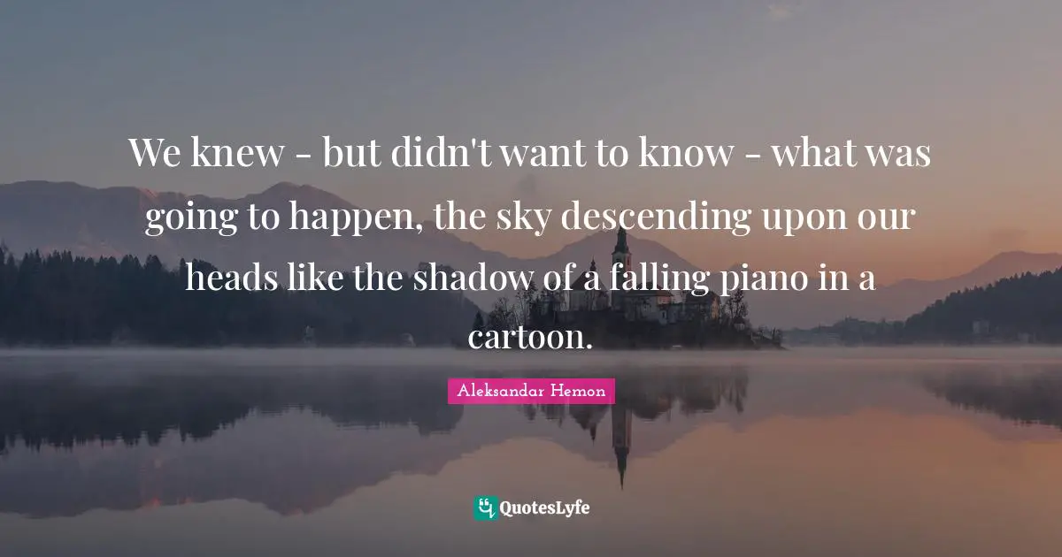 We knew - but didn't want to know - what was going to happen, the sky descending upon our heads like the shadow of a falling piano in a cartoon.