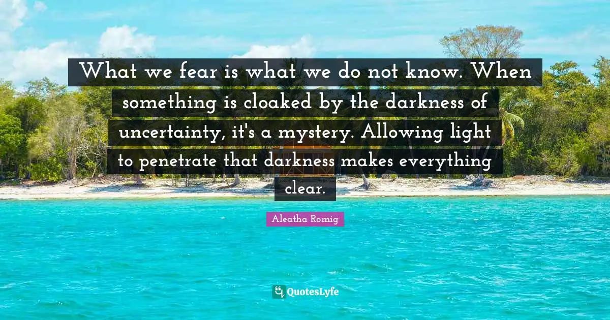 What we fear is what we do not know. When something is cloaked by the darkness of uncertainty, it's a mystery. Allowing light to penetrate that darkness makes everything clear.