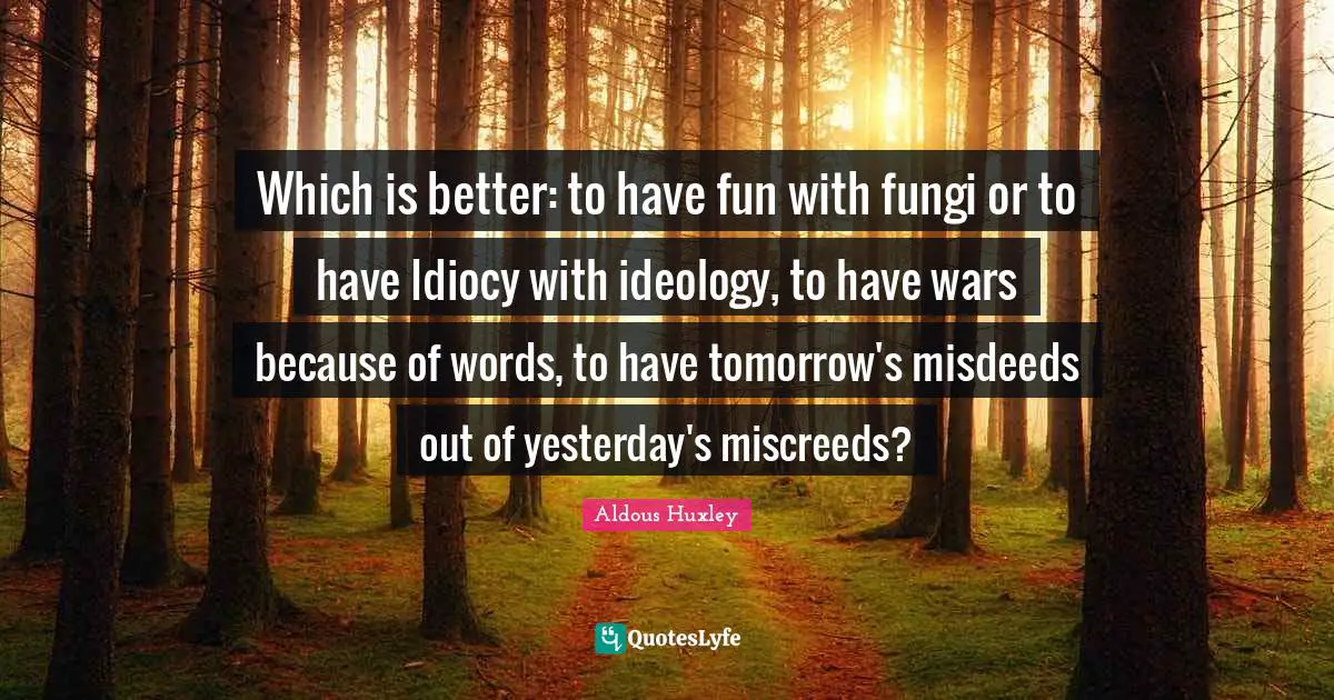Which is better: to have fun with fungi or to have Idiocy with ideology, to have wars because of words, to have tomorrow's misdeeds out of yesterday's miscreeds?