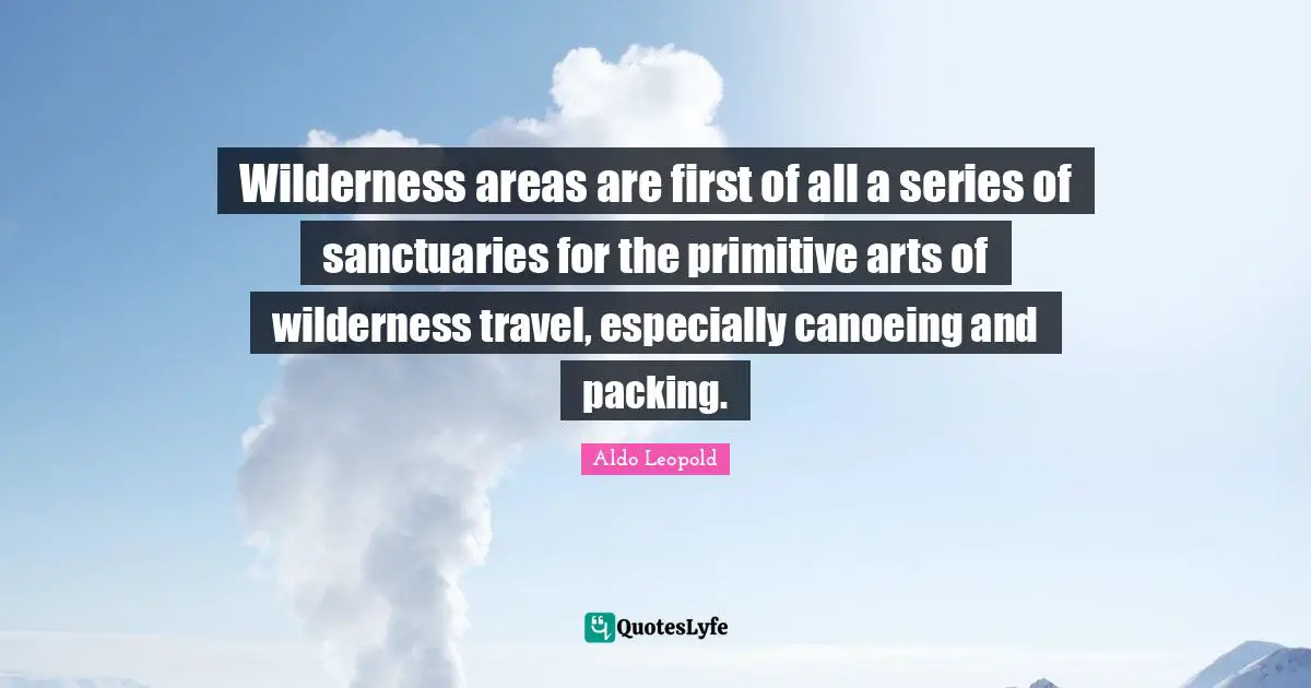 Wilderness areas are first of all a series of sanctuaries for the primitive arts of wilderness travel, especially canoeing and packing.