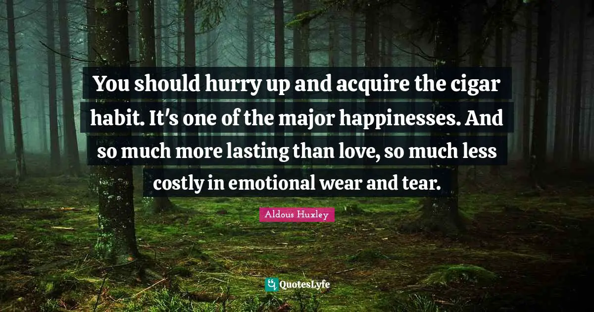 You should hurry up and acquire the cigar habit. It's one of the major happinesses. And so much more lasting than love, so much less costly in emotional wear and tear.