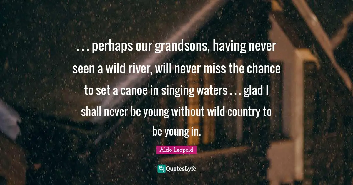 . . . perhaps our grandsons, having never seen a wild river, will never miss the chance to set a canoe in singing waters . . . glad I shall never be young without wild country to be young in.
