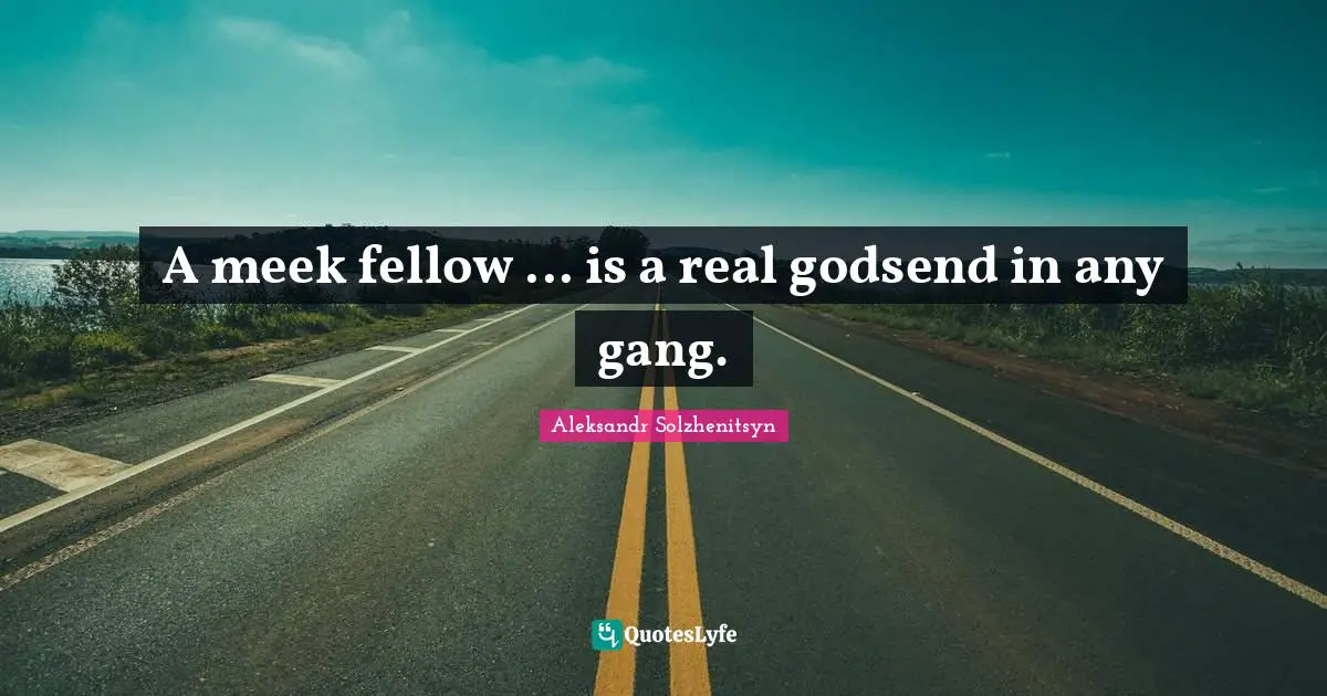 Meek Quotes: "A meek fellow ... is a real godsend in any gang."