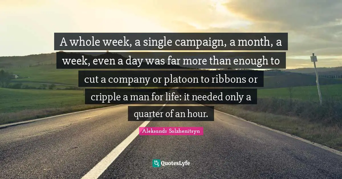 A whole week, a single campaign, a month, a week, even a day was far more than enough to cut a company or platoon to ribbons or cripple a man for life: it needed only a quarter of an hour.