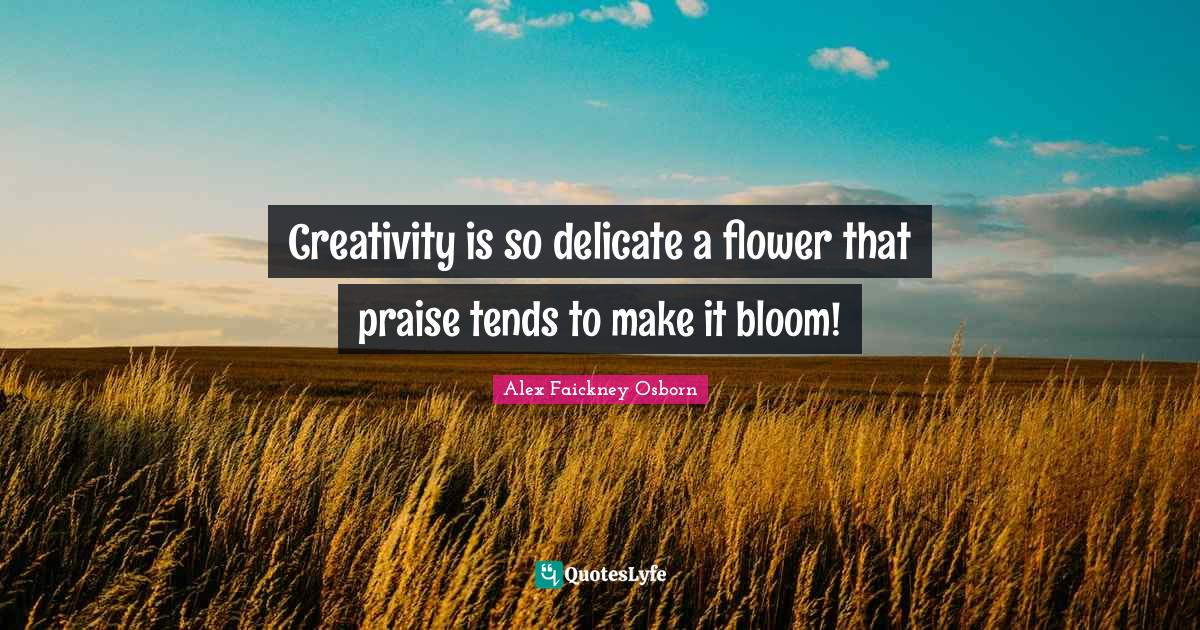 Creativity is so delicate a flower that praise tends to make it bloom