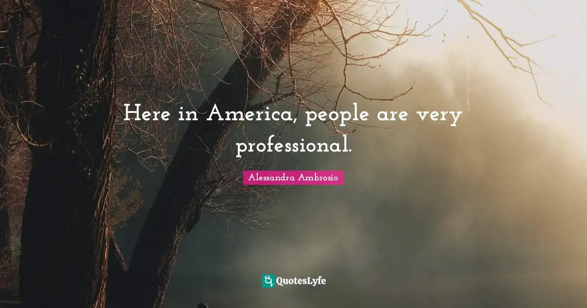 Here in America, people are very professional.