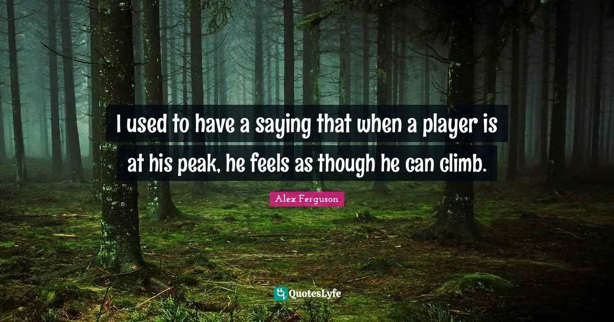 I used to have a saying that when a player is at his peak, he feels as though he can climb.