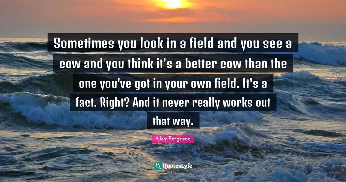 Sometimes you look in a field and you see a cow and you think it's a better cow than the one you've got in your own field. It's a fact. Right? And it never really works out that way.