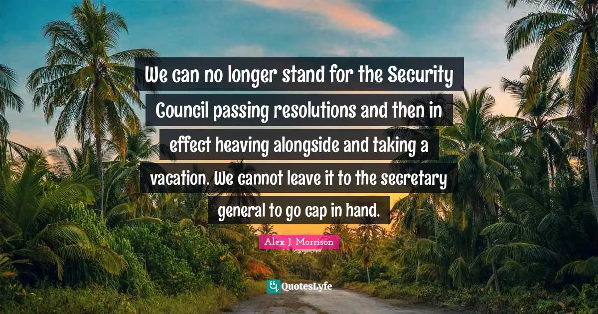 We can no longer stand for the Security Council passing resolutions and then in effect heaving alongside and taking a vacation. We cannot leave it to the secretary general to go cap in hand.