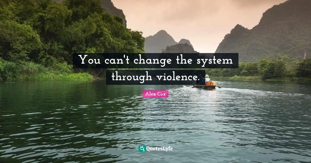 You can't change the system through violence.