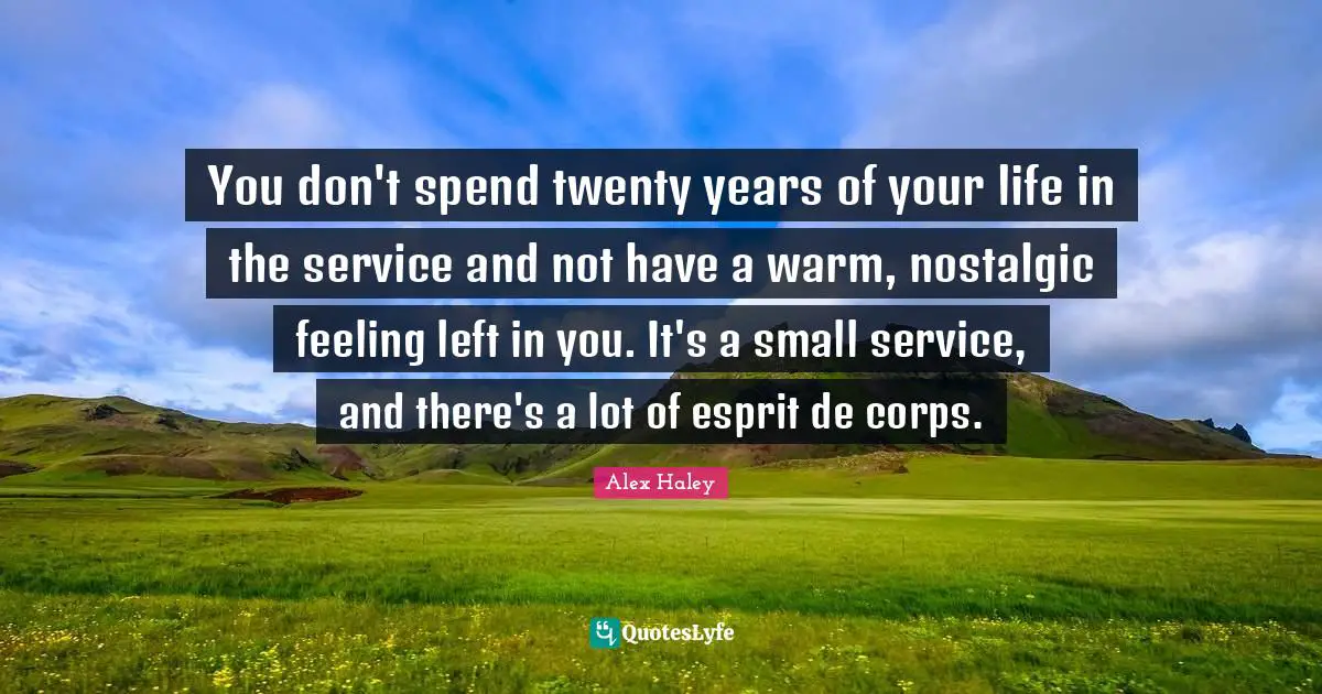 You don't spend twenty years of your life in the service and not have a warm, nostalgic feeling left in you. It's a small service, and there's a lot of esprit de corps.