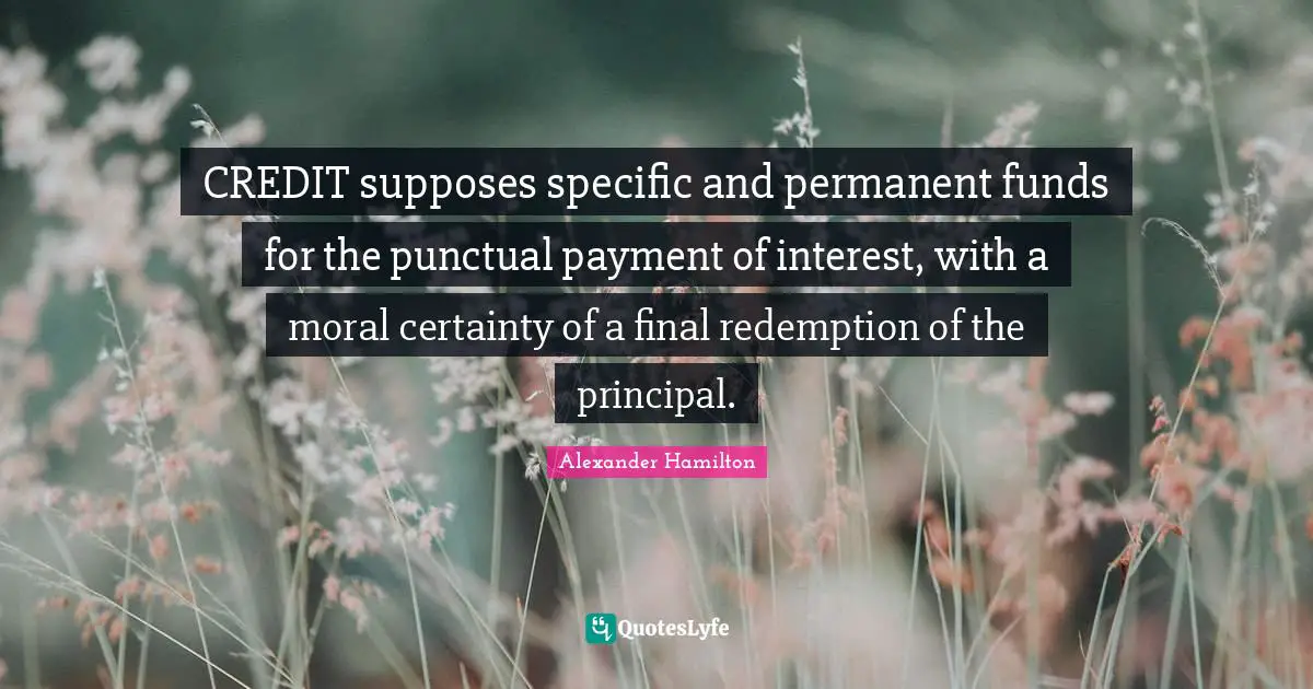 CREDIT supposes specific and permanent funds for the punctual payment of interest, with a moral certainty of a final redemption of the principal.