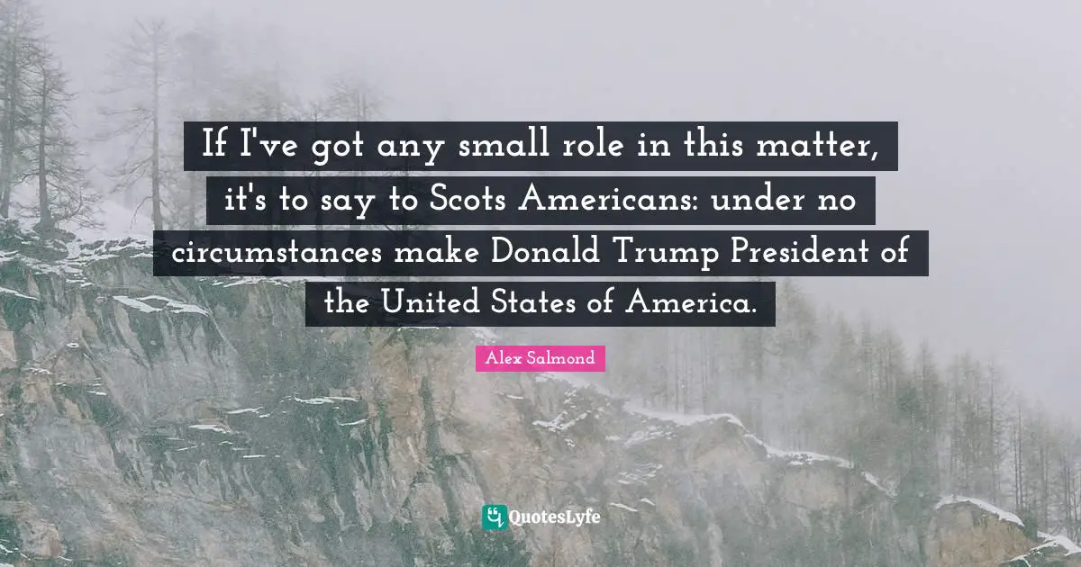 If I've got any small role in this matter, it's to say to Scots Americans: under no circumstances make Donald Trump President of the United States of America.
