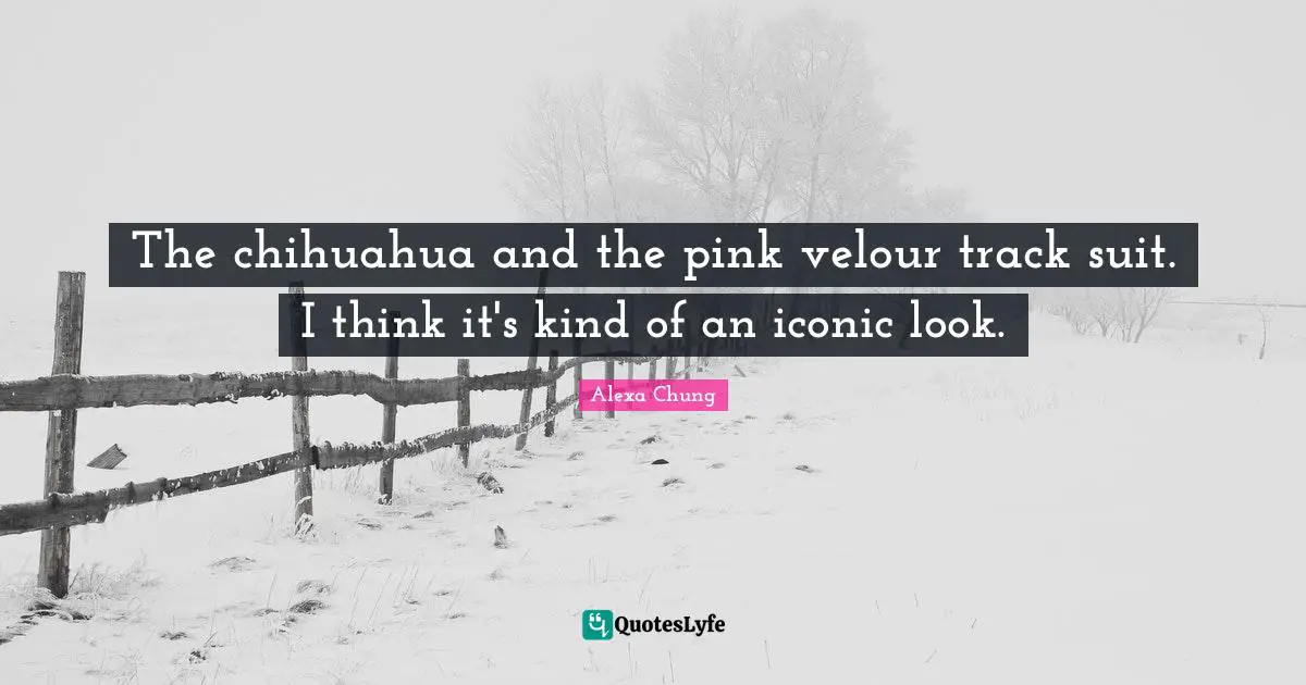 The chihuahua and the pink velour track suit. I think it's kind of an iconic look.