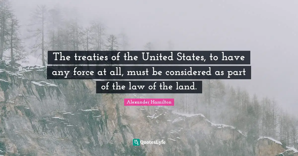 The treaties of the United States, to have any force at all, must be considered as part of the law of the land.
