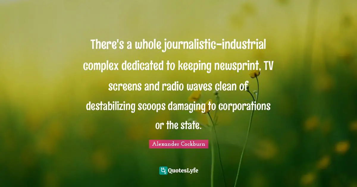 There's a whole journalistic-industrial complex dedicated to keeping newsprint, TV screens and radio waves clean of destabilizing scoops damaging to corporations or the state.