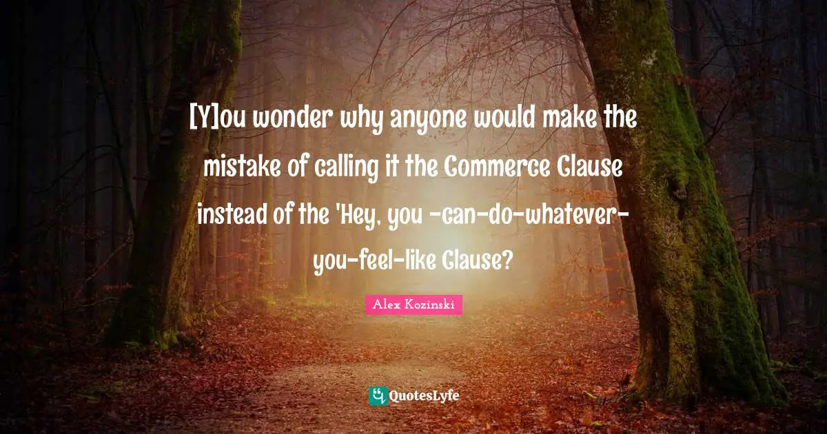 [Y]ou wonder why anyone would make the mistake of calling it the Commerce Clause instead of the 'Hey, you -can-do-whatever-you-feel-like Clause?