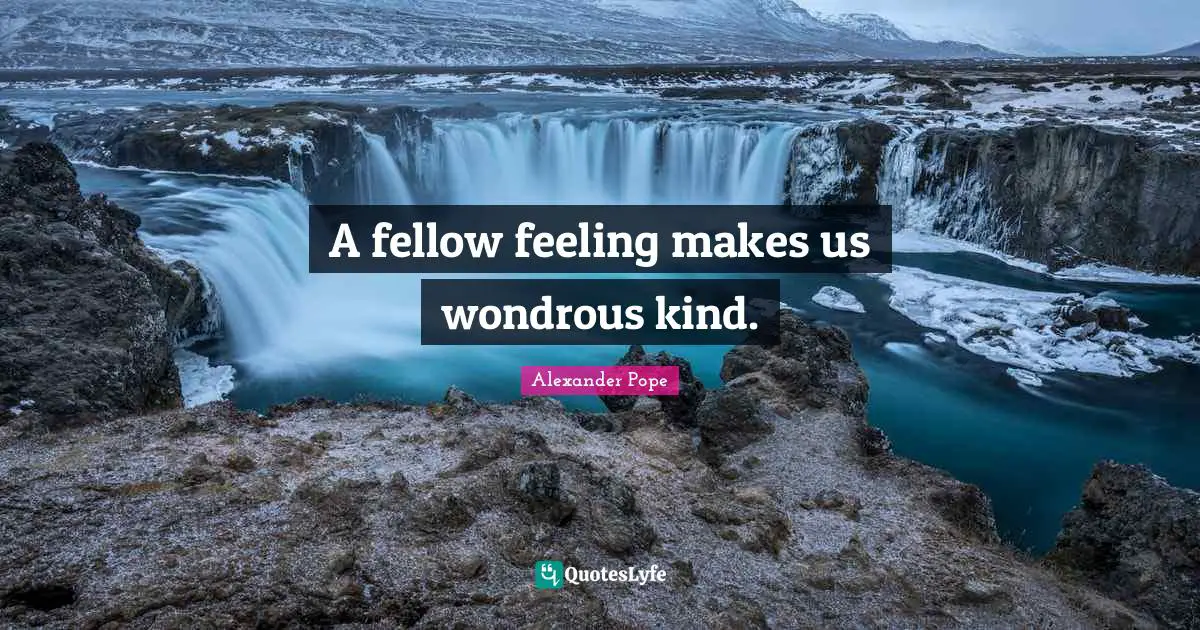 Fellow Quotes: "A fellow feeling makes us wondrous kind."