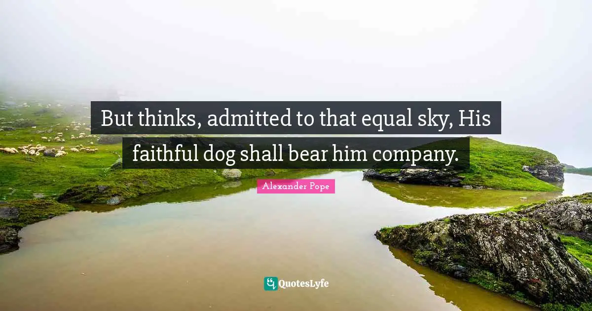 But thinks, admitted to that equal sky, His faithful dog shall bear him company.