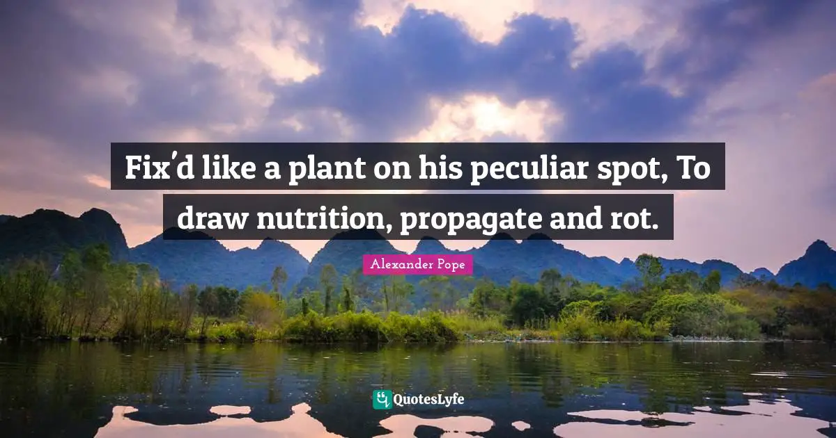 Fix'd like a plant on his peculiar spot, To draw nutrition, propagate and rot.