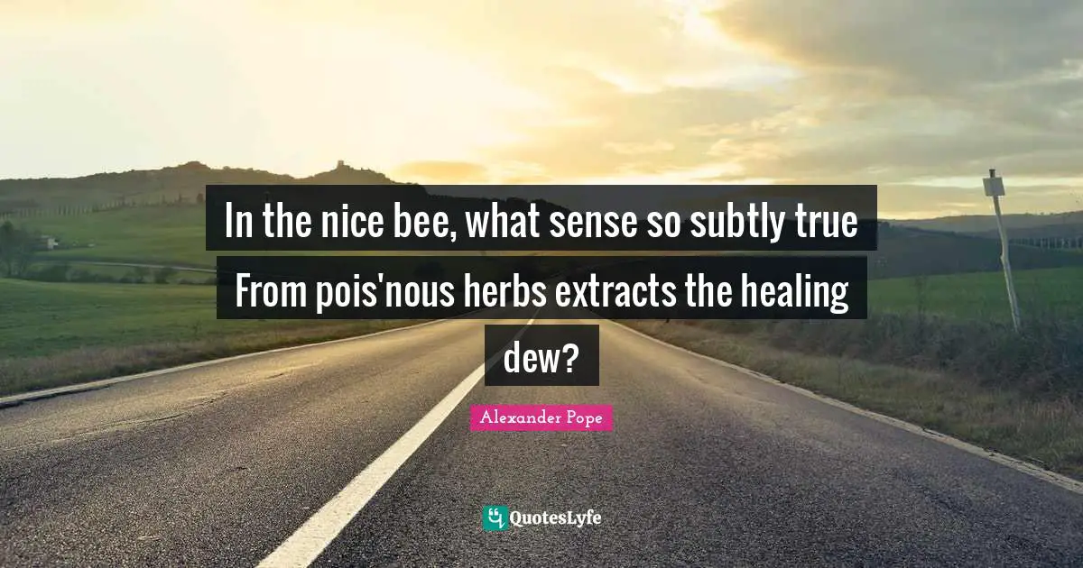 In the nice bee, what sense so subtly true From pois'nous herbs extracts the healing dew?