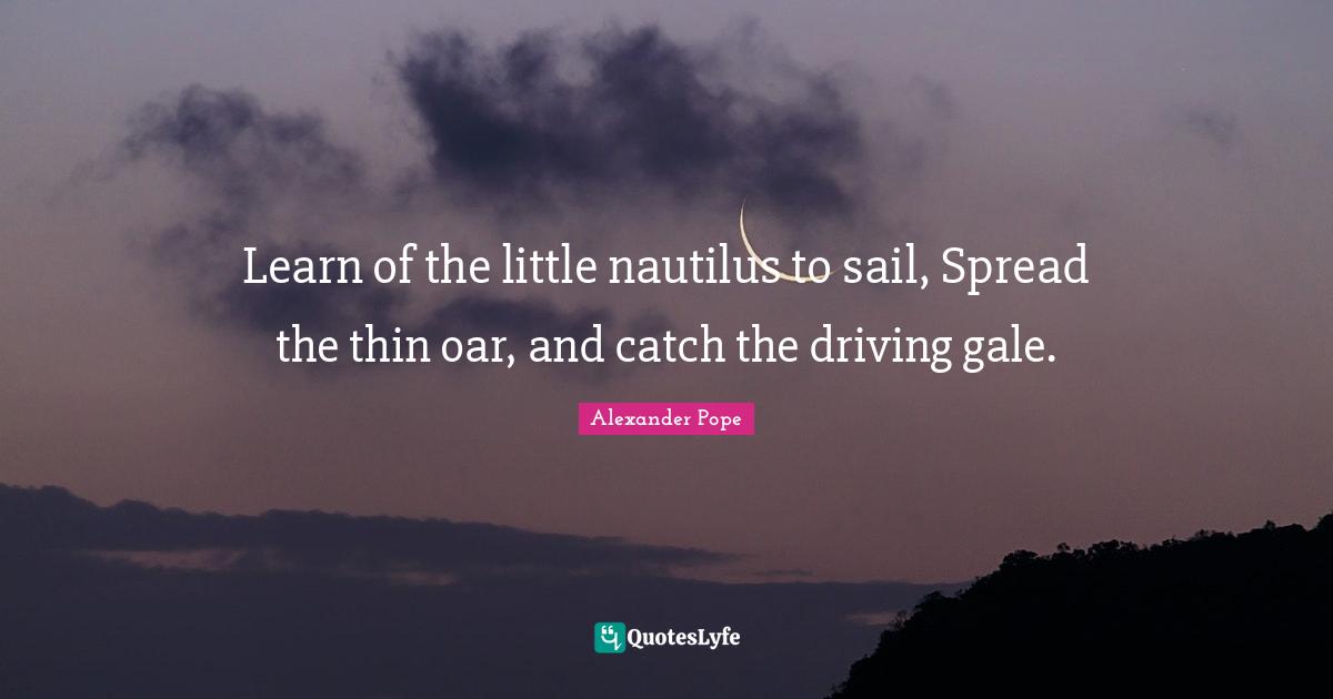 Learn of the little nautilus to sail, Spread the thin oar, and catch the driving gale.