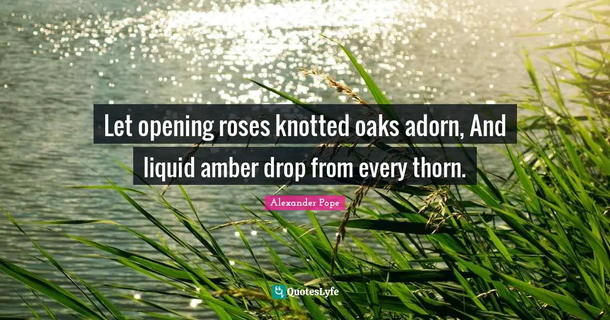 Let opening roses knotted oaks adorn, And liquid amber drop from every thorn.