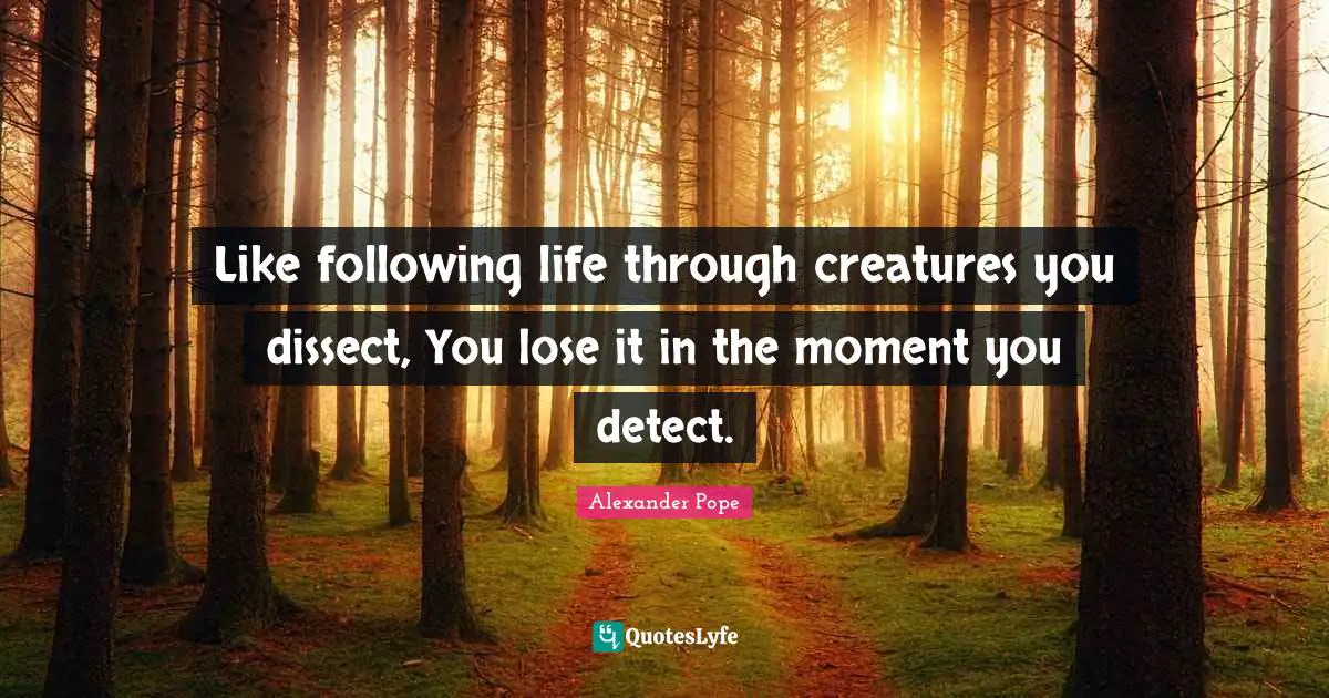 Like following life through creatures you dissect, You lose it in the moment you detect.