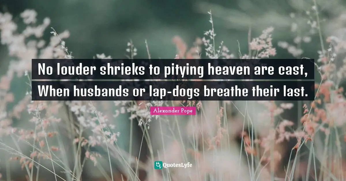 Husband Quotes: "No louder shrieks to pitying heaven are cast, When husbands or lap-dogs breathe their last."