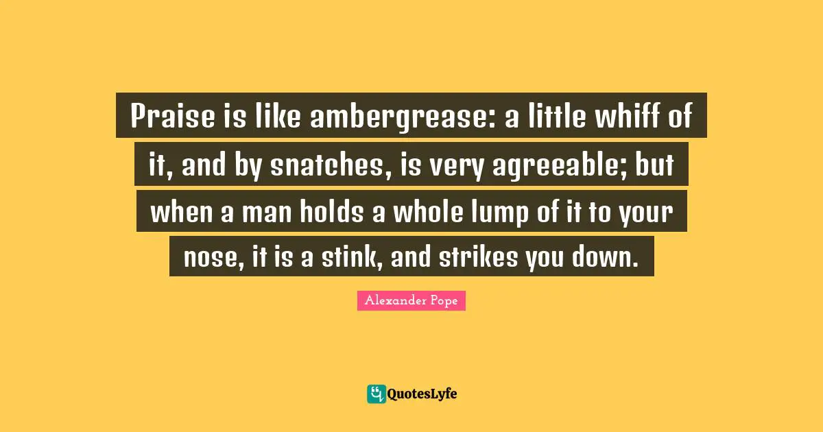 Praise is like ambergrease: a little whiff of it, and by snatches, is very agreeable; but when a man holds a whole lump of it to your nose, it is a stink, and strikes you down.