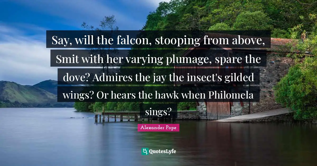 Alexander Pope Quotes: "Say, will the falcon, stooping from above, Smit with her varying plumage, spare the dove? Admires the jay the insect's gilded wings? Or hears the hawk when Philomela sings?"