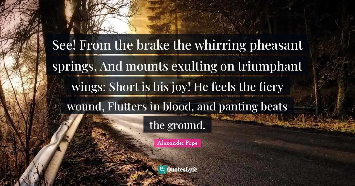 Beats Quotes: "See! From the brake the whirring pheasant springs, And mounts exulting on triumphant wings; Short is his joy! He feels the fiery wound, Flutters in blood, and panting beats the ground."