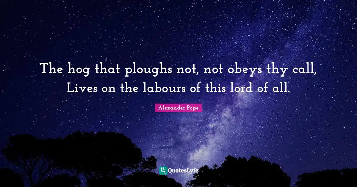 Hog Quotes: "The hog that ploughs not, not obeys thy call, Lives on the labours of this lord of all."