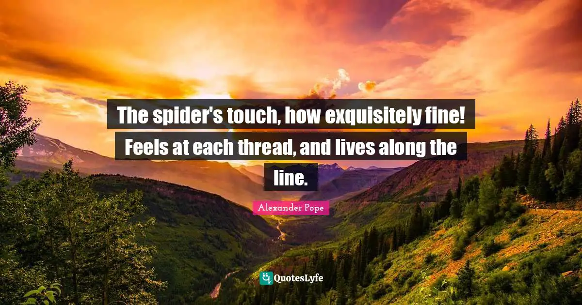 The spider's touch, how exquisitely fine! Feels at each thread, and lives along the line.