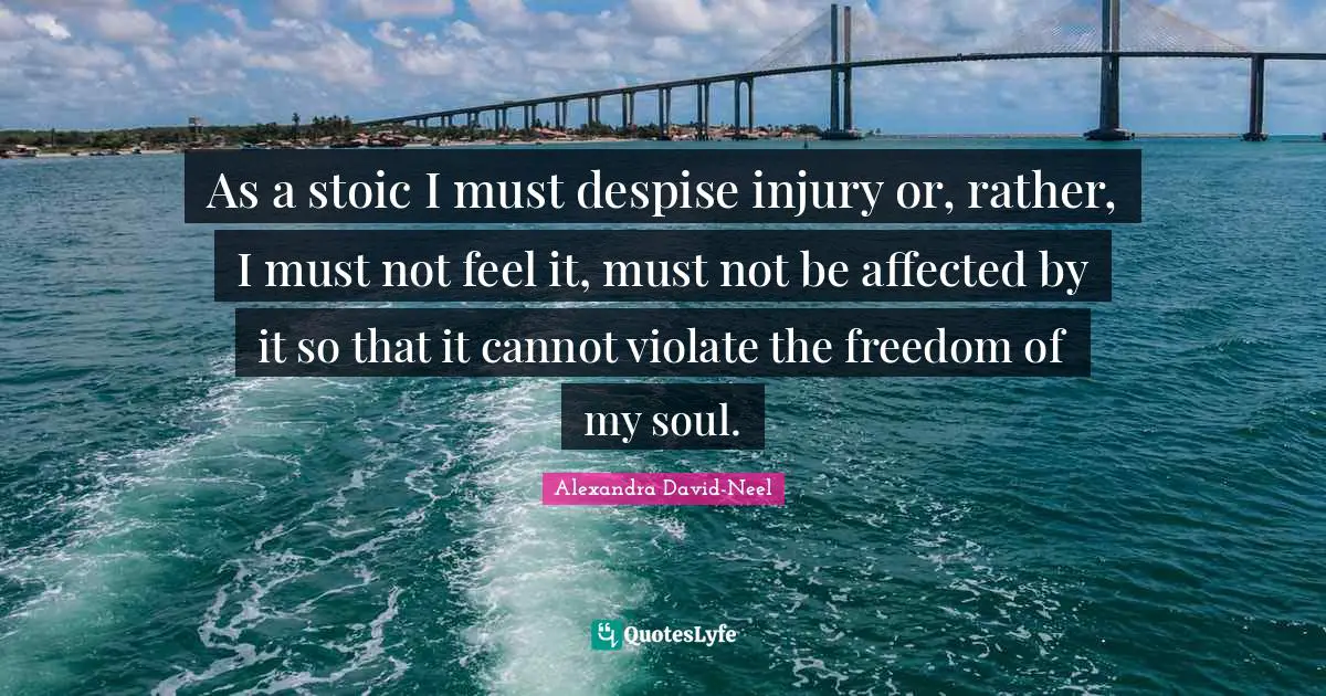 As a stoic I must despise injury or, rather, I must not feel it, must not be affected by it so that it cannot violate the freedom of my soul.