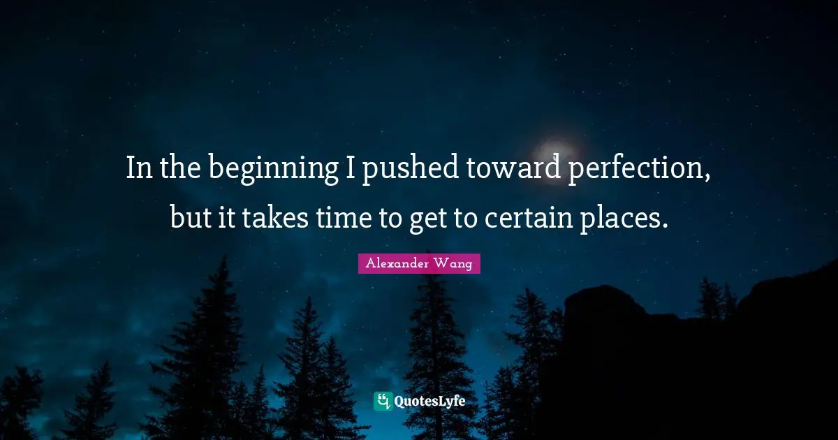 Alexander Wang Quotes: "In the beginning I pushed toward perfection, but it takes time to get to certain places."