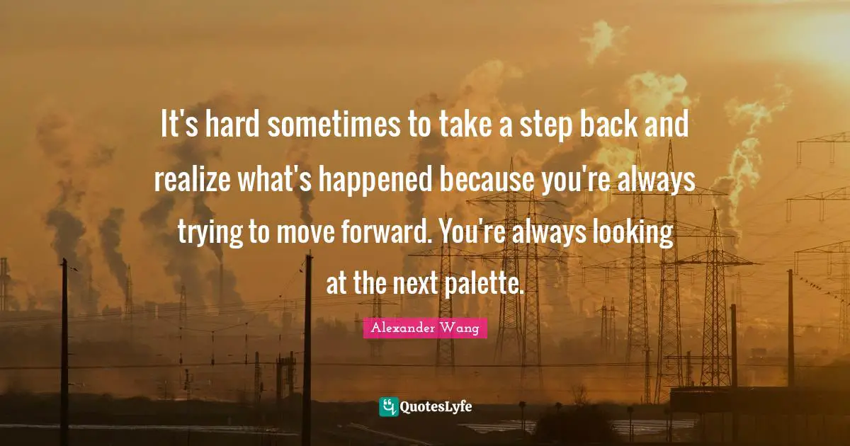 Alexander Wang Quotes: "It's hard sometimes to take a step back and realize what's happened because you're always trying to move forward. You're always looking at the next palette."