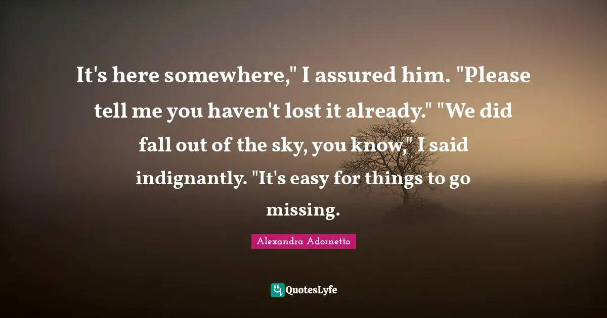 It's here somewhere," I assured him. "Please tell me you haven't lost it already." "We did fall out of the sky, you know," I said indignantly. "It's easy for things to go missing.