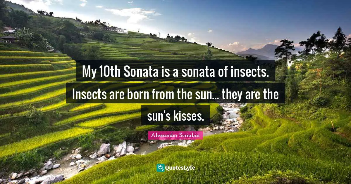 My 10th Sonata is a sonata of insects. Insects are born from the sun... they are the sun's kisses.